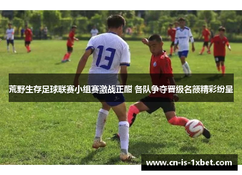 荒野生存足球联赛小组赛激战正酣 各队争夺晋级名额精彩纷呈