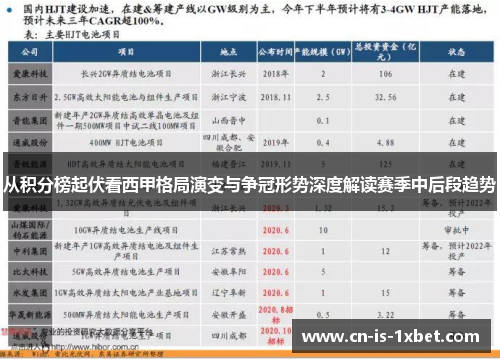 从积分榜起伏看西甲格局演变与争冠形势深度解读赛季中后段趋势